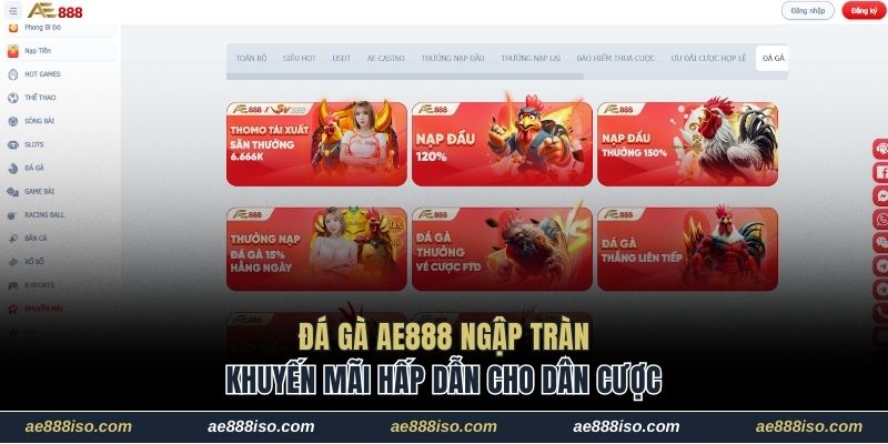 Đá gà AE888 ngập tràn khuyến mãi hấp dẫn cho dân cược